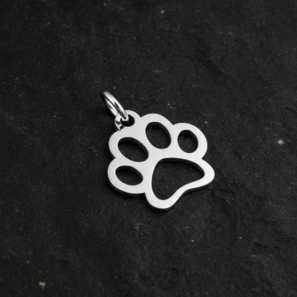silver dog paw 2
